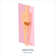 Sagittal scanning plane shown on a male body. Human body anatomical position diagram. Probe orientation infographics. Medical sonography concept. Vector illustration.