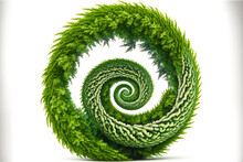 Green Spiral Of Grass Topiary Tree Isolated On White Background
