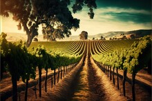  A Vineyard With Rows Of Vines And Trees In The Background At Sunset Or Dawn With A Distant Hill In The Distance With A Tree In The Foreground, And A Distant Distant, Distant. Generative AI 