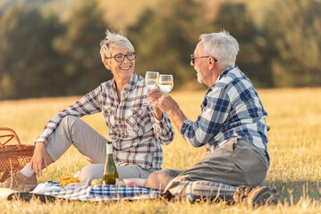 Cheerful elderly couple enjoying picnic in the nature, sitting on the grass, drinking wine, toasting, having good time. Older people having romance.