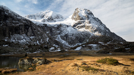 Wall Mural - montains covered by snow with yellow pasture