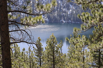 lake in the forest