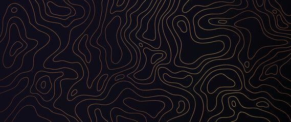 Wall Mural - luxury gold abstract line art background vector. mountain topographic terrain map background with go