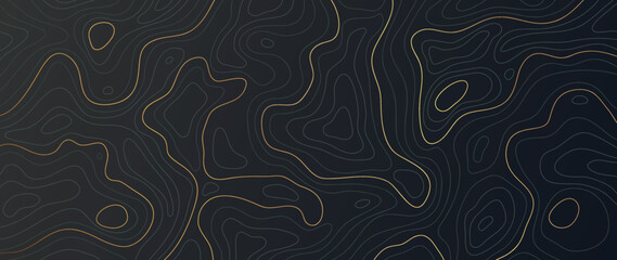 luxury gold abstract line art background vector. mountain topographic terrain map background with go
