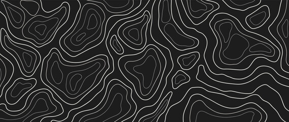 Wall Mural - abstract line art background vector. mountain topographic terrain map background with white shape li
