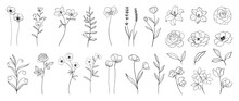 Set Of Hand Drawn Botanical Flowers Line Art Vector. Collection Of Black White Contour Drawing Of Rose, Lily, Wildflowers, Leaf. Design Illustration For Print, Logo, Cosmetic, Poster, Card, Branding.