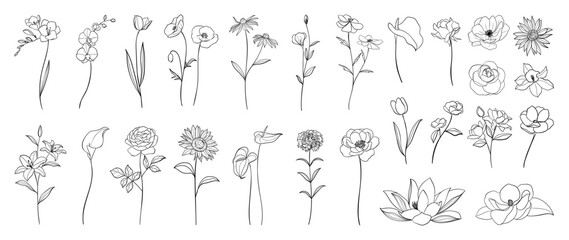 Set of hand drawn botanical flowers line art vector. Collection of black white contour drawing of rose, lily, orchid flowers. Design illustration for print, logo, cosmetic, poster, card, branding.