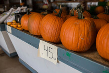 Close-up Of Pumpkins At Market Stall For Sale
