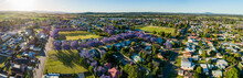 Panorama Of Aussie Country Town A Bloom With Purple Jacaranda Trees