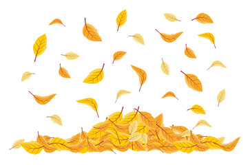 Wall Mural - vector illustration of falling leaves. vector falling flying autumn leaves