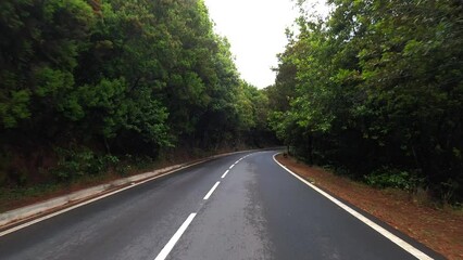Wall Mural - Travel concept lifestyle with car perspective and long asphalt straight road in the forest. Nature and travel destination. Transport with vehicle and traveler. Trees and woods in background