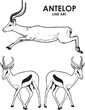 Set of hand draw vintage antelope premium vector