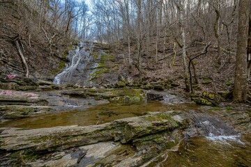 Poster - tennessee