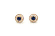 Elegant earrings, a pair of luxury earrings on white isolated background. Accessory earrings for women.