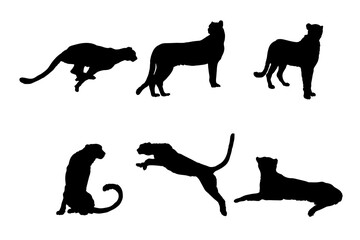 Wall Mural - Set of silhouettes of cheetah vector design