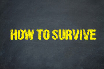 Wall Mural - how to survive	