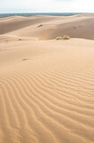 Fototapeta  - Sand dunes in the Kyzylkum desert Kazakhstan