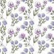 © Polina - Tender seamless pattern with blue and purple wildflowers on white background. Vector illustration
