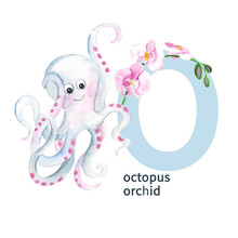 Letter O, Octopus, Orchid, Cute Kids Animal And Flower ABC Alphabet. Watercolor Illustration Isolated On White Background. Can Be Used For Alphabet Or Cards For Kids Learning English Vocabulary And