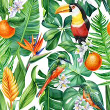 Colored Birds. Palm Leaves, Tropical Background, Watercolor Painting. Seamless Pattern, Jungle Wallpaper