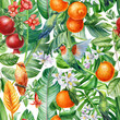 hummingbird, leaves, fruit and flowers, tropical background, watercolor jungle. Floral Seamless pattern 