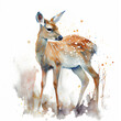 watercolor of a doe deer