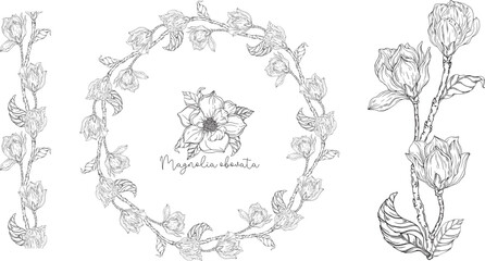 Wall Mural - Black and white. White magnolia. Vector illustration. Botanical illustration. Flower Wreath