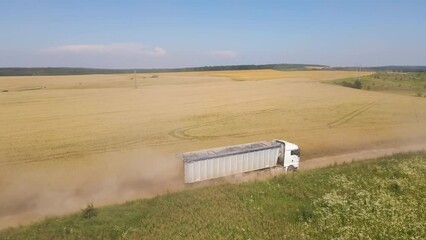 Wall Mural - Aerial view of cargo truck driving on dirt road between agricultural wheat fields making lot of dust. Transportation of grain after being harvested by combine harvester during harvesting season