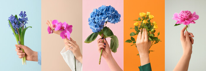 Group of female hands with beautiful flowers on color background