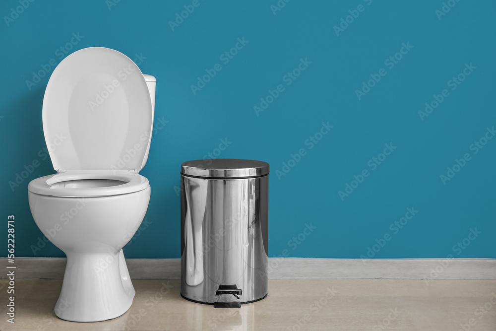 Ceramic toilet bowl and bin near blue wall