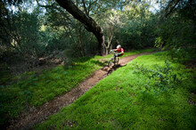 A Young Man Rides His Downhill Mountain Bike On A Path Surrounded By Extremely Lush Green Clovers.