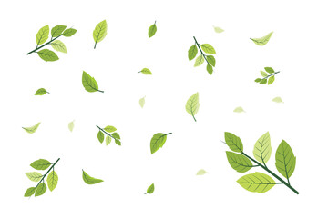 Wall Mural - spring illustration. vector falling green leaves