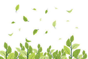 Wall Mural - spring illustration. vector falling green leaves