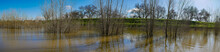 Panorama Of Flooded Area Of California With Trees Underwater 
