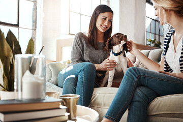 Women, friends and relax with dog on sofa in living room for calm, peace and quality time with pet. Puppy, lifestyle happiness and animal care in home with female owners for love or support on couch