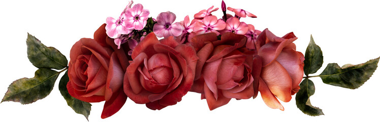 Wall Mural - Red roses isolated on a transparent background. Png file.  Floral arrangement, bouquet of garden flowers. Can be used for invitations, greeting, wedding card.