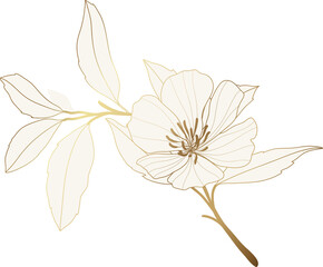 Wall Mural - Cherry blossom flower golden line art