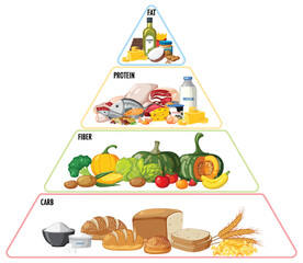 Wall Mural - food nutrition groups pyramid