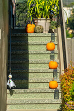 Green Speckled Steps With Shadow And Decorative Pumpkins In The Fall Or For Halloween Festivities Near The End Of October