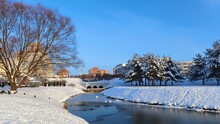 In Winter, The Water Canal In The City Park Is Covered With Ice. Everything Around Is Covered With Snow. Birds Sit On The Tree And Under The Tree. There Are Buildings Outside The Park. Sunny