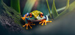 close up of a frog on a leaf, frog wallpaper, red/eyes frog