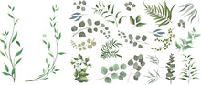 Mix Of Herbs And Plants Vector Big Collection. Juicy Eucalyptus, Green Plants And Leaves. All Elements Are Isolated 