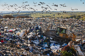 Wall Mural - Heavy machinery shredding garbage in an open air landfill. Pollution