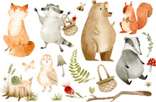 Forest Animals And Watercolor Nature Elements Isolated Clipart Set