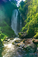 Wall Mural - waterfall in the mountains in the jungle of South America