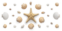 High Angle, Panoramic View Of Seashells And Starfish Cut Out With Shadows, Without Background