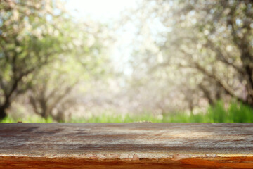 Wall Mural - wooden table in front of spring blossom tree landscape. Product display and presentation