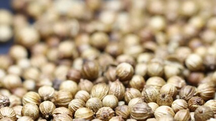 Poster - natural dried coriander in a pile. camera movement horizontal
