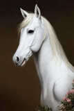Fototapeta Konie - painting of a white horse portrait created with Generative AI technology