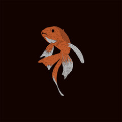 fish animal artwork style illustration design